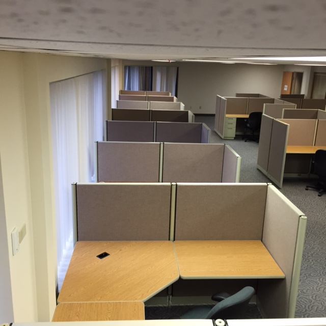 Cubicles along wall